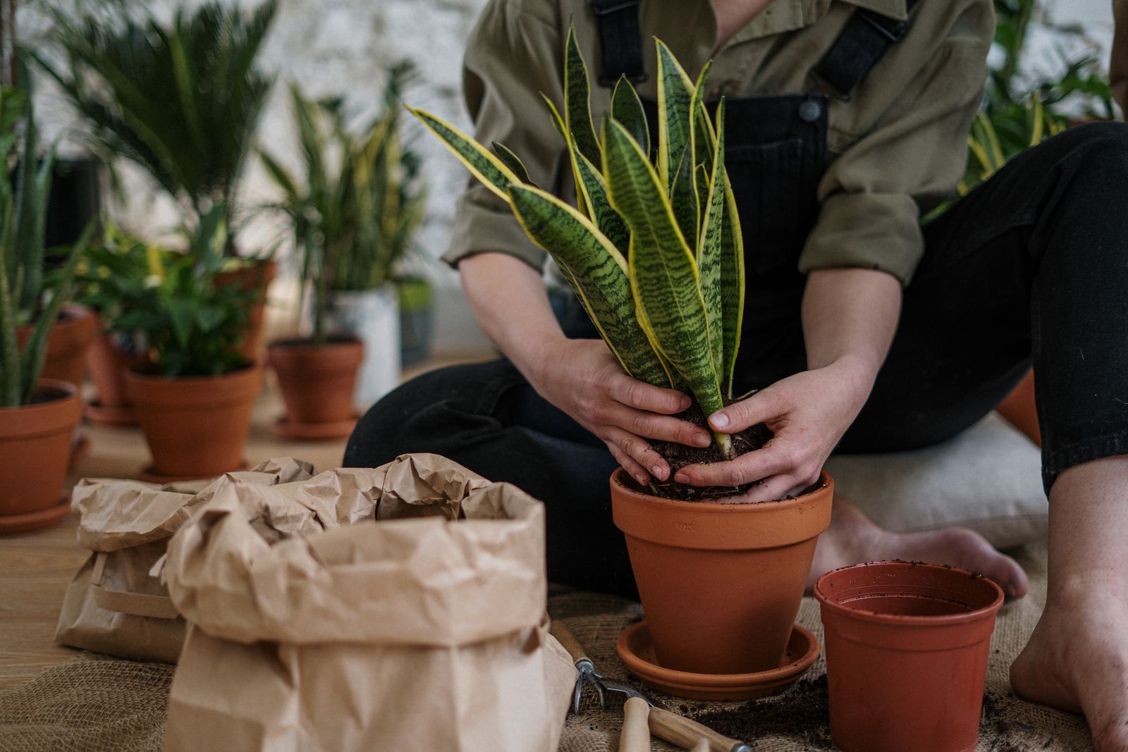 Garden tools for outdoor yard and bed work